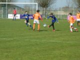 ST D.Z.C. '09/S.K.N.W.K. JO13-1 - ST Lebo/SVN/VVB/Patrijzen JO13-1 (competitie) seizoen 2022-2023 (voorjaar - 3e fase)) (73/81)